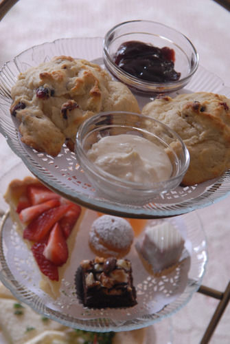 The Spring Seasons Inn نيوبورت المظهر الخارجي الصورة